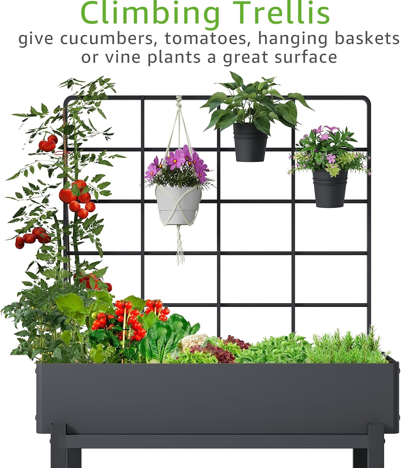 Metal Raised Garden Bed with Trellis