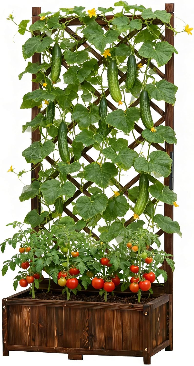 Wood Garden Bed with Trellis