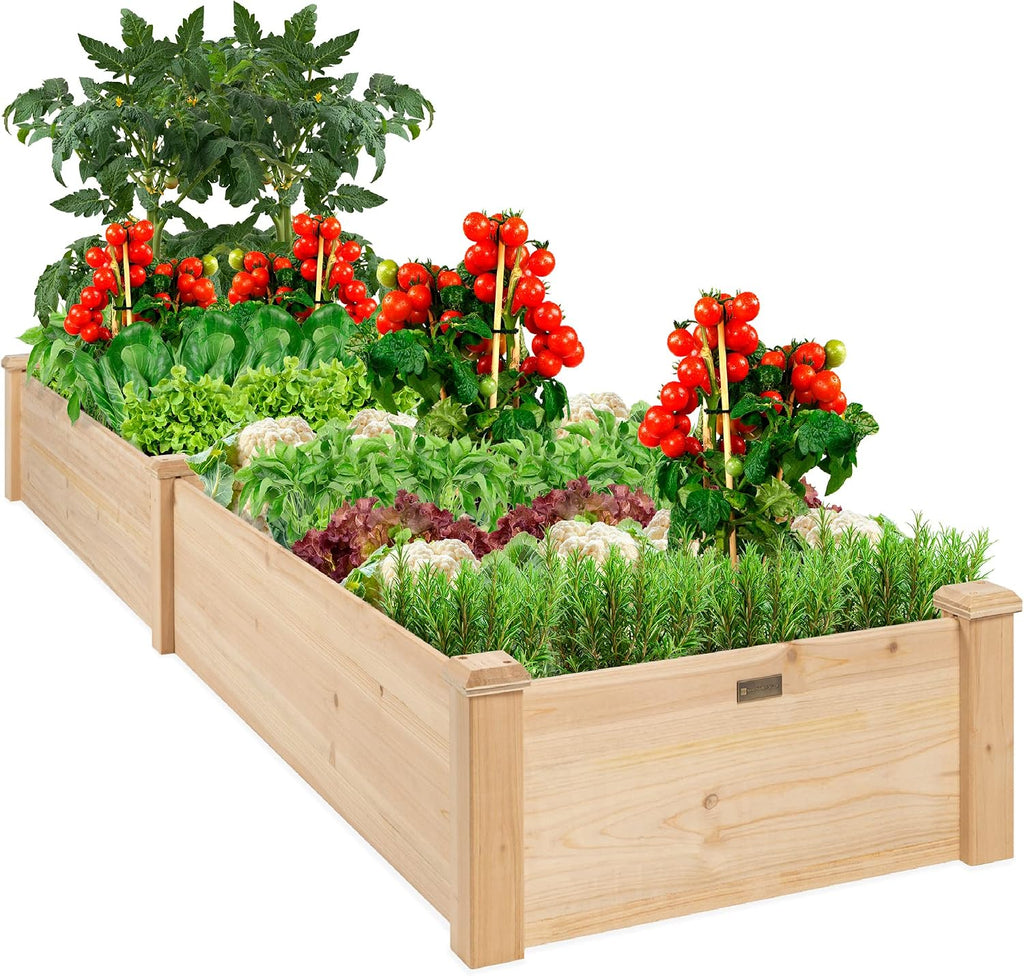 Natural Wood Raised Garden Bed 8x2ft